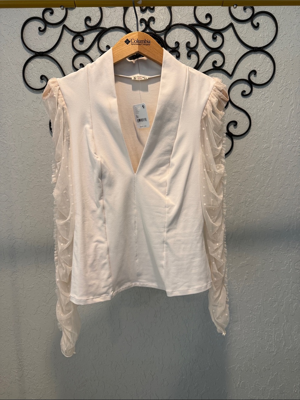 Free People Cream Deep V Blouse with Sheer Dot Ruffle Sleeves
